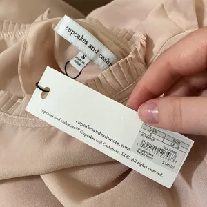 Cupcakes and Cashmere Malina pleated detail chiffon shift dress in tea rose sz S thumbnail 15