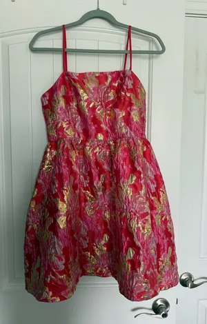 Boutique Dress thumbnail 1
