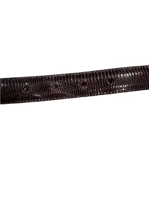 Brighton Belt , brown textured with silvertone hardware size small thumbnail 3