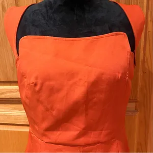 CIDER Structured Bodice Halter A-Line‎ Mini Dress Burnt Orange Size Large thumbnail 2