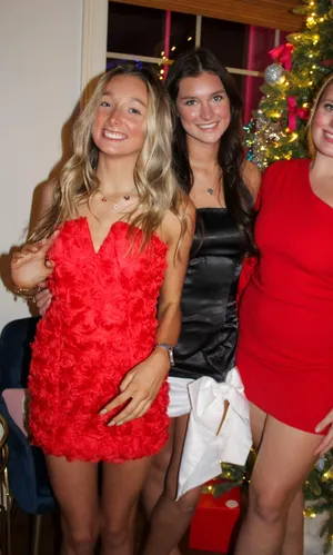 Red Rose Mini Dress thumbnail 1