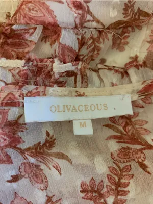 Olivaceous Cream Rust Floral Sheer Corset Crop Top M Long Sleeve Romantic Boho thumbnail 3