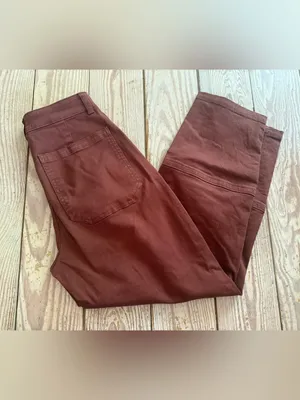 Everlane The Barrel Pant in Rust, Size 2 thumbnail 5