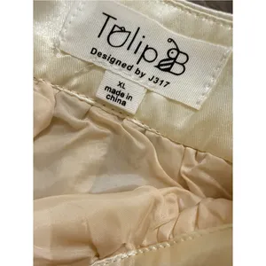 Ivory Swiss Dot‎ Mesh Overlay Mini Skirt NWT Women's XL Coquette Tulip B thumbnail 3