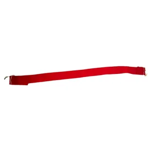 Vintage 80s Gold Tone Butterfly Buckle Red Elastic Stretch Belt thumbnail 4