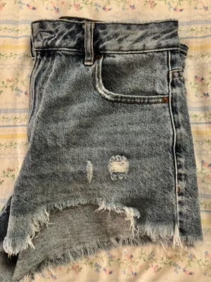 PacSun Denim Shorts thumbnail 5
