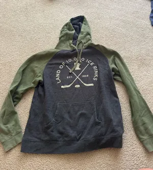 black and green label of 10,000 ice rinks hooded sweatshirt thumbnail 1