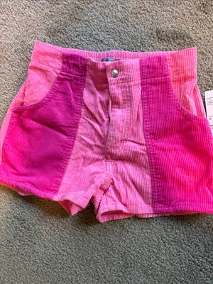 Urban Outfitters Pink Ombre Corduroy Shorts thumbnail 2