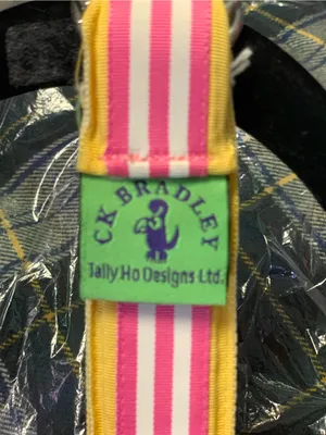CK Bradley Pink and Yellow Striped O-Ring Ribbon Belt Size-Small thumbnail 2