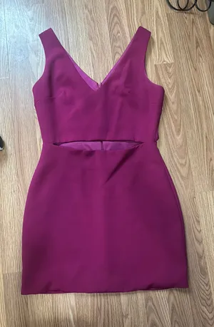 Karlie Mini Dress thumbnail 1