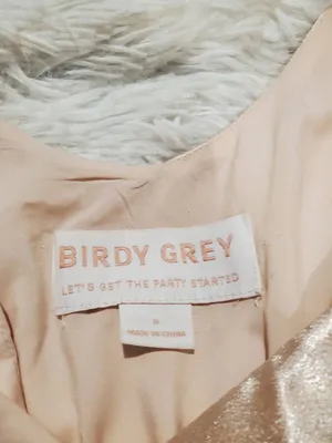 Birdy Grey James Satin Midi Dress in Champagne Small thumbnail 7