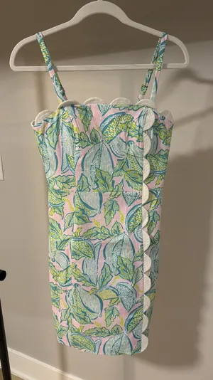Lily Pulitzer Mini Dress thumbnail 1