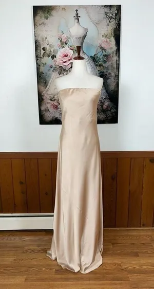 Elegant New Show Me Your Mumu Taylor Tube Maxi Dress! thumbnail 1
