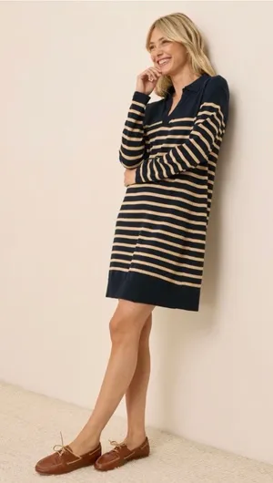 Pact Classic Fine Knit Collared Striped Mini Sweater Dress Size M Blue Beige thumbnail 1