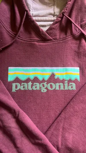 Uprisal Patagonia Hoodie thumbnail 2