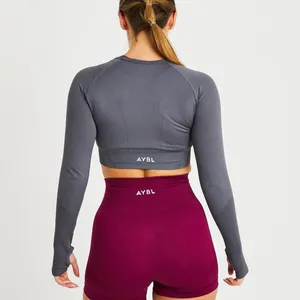 AYBL Gray Long Sleeve Crop Top thumbnail 2