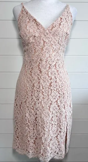 Lulus Sweet Blossom Blush Pink Lace Floral‎ Dress Size 10 thumbnail 1
