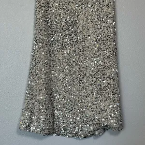 NWT Old Navy Champagne Silver Sequin A-line Lined Maxi Skirt Size Medium thumbnail 7