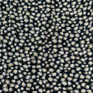 American Eagle sunflower pattern halter dress thumbnail 8