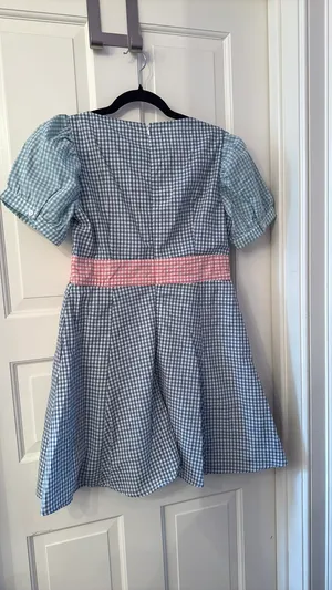 Boutique Gingham Dress thumbnail 4