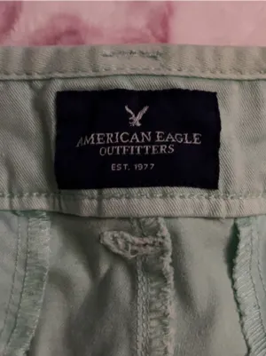 American Eagle Outfitters Light Mint Green Casual Cotton Shorts thumbnail 3