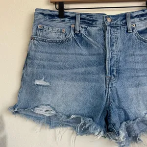 Pistola Distressed Cutoff Denim Shorts thumbnail 5