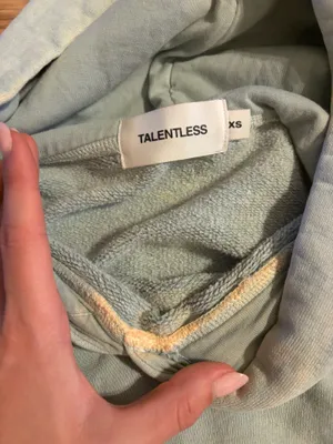 Sage Talentless hoodie  thumbnail 6