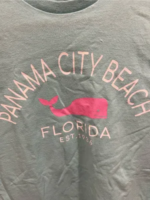 Delta Cute Y2K Panama City pastel whale spring break Florida vacation graphic t-shirt thumbnail 6