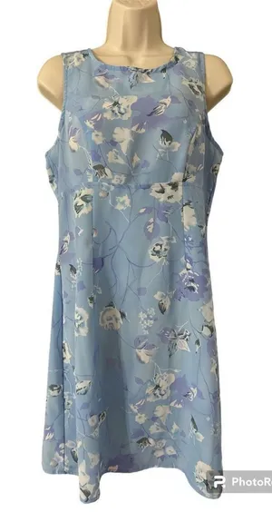 Tickets Shift Dress Medium Sky Blue, Sleeveless, Floral Zip thumbnail 1