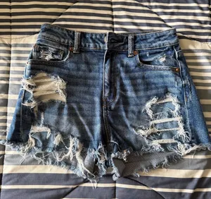 American Eagle Shorts thumbnail 1