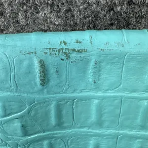 Kate Spade New York Turquoise Croc Embossed Leather Crossbody Clutch Purse thumbnail 11