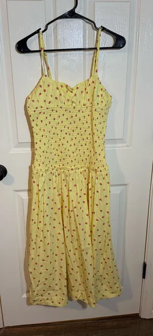 Free People Strawberry Dress thumbnail 1