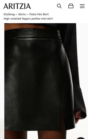 Aritzia Wildred Skirt thumbnail 3