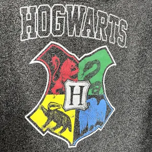 Harry Potter Hogwarts House Crest Gray Hooded Sweatshirt thumbnail 5