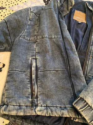 American Eagle Coat thumbnail 3
