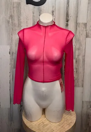 SHEIN Hot Pink Sheer Mesh Mock Neck Long Sleeve Crop Top Womens Small NWT thumbnail 1