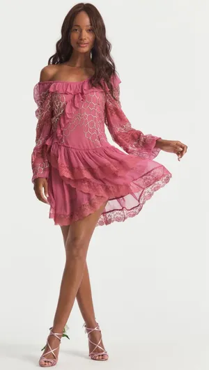 Love Shack Fancy Pink, Ruffled Mini Dress | 2 | Lace, Sparkle thumbnail 1