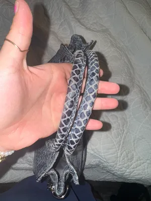 Michael Kors Blue Snake Skin Bag thumbnail 4