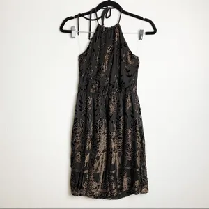 Sadie X Sage Black Gold Velvet Floral Halter Neck Dress‎ Small NWT thumbnail 2