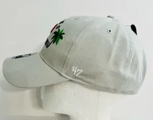 47 Brand Detroit Tigers 2019 Spring Training Cap thumbnail 5