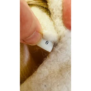 SANDRO OFF-WHITE Knit Alpaca Wool Blend Creamy Button Knot Cardigan size 0 thumbnail 11