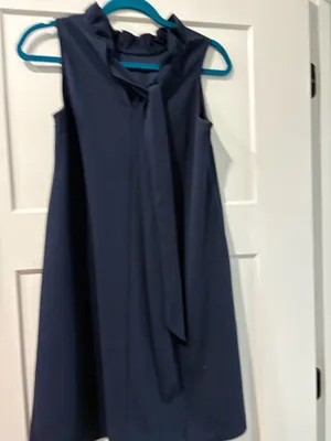 Dress Blue thumbnail 2