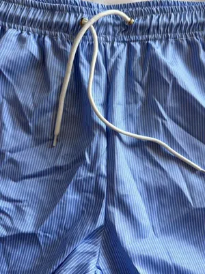 🌊 NWOT SHEIN Blue & White Striped Swim Shorts thumbnail 3