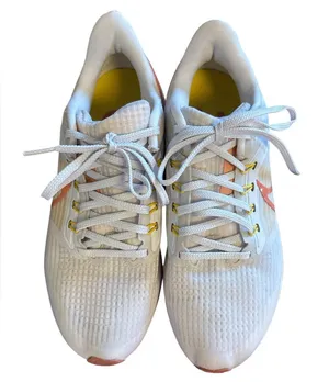Nike Air Zoom Pegasus 39 thumbnail 1