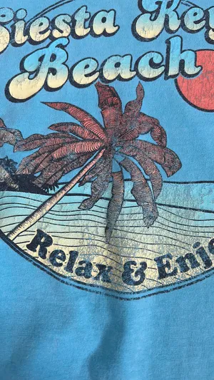 Siesta Key Beach T thumbnail 3