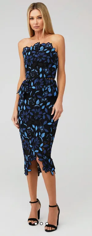 ELLIATT Strapless Embroidered Midi Dress Size [size 0 thumbnail 1