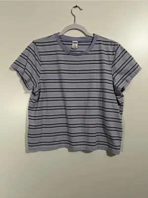 VS Pink Retro Stripe Crop Top Lavender and Green Size XL thumbnail 2