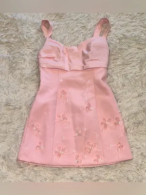NEW ACLER Kendi Bead Embellished fairy floss pink Minidress Sz 4 thumbnail 5