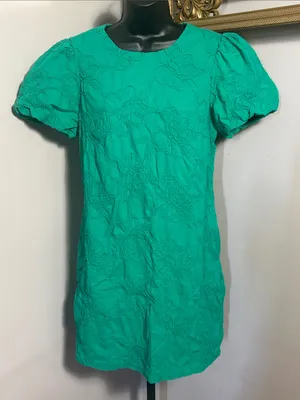 J Crew Size 10 Dublin Green Eyelet Puff Sleeve Floral Embroidery Dress thumbnail 1