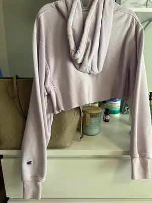 Champion Cropped  Hoodie thumbnail 2